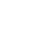 Puschkin